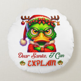 DEAR SANTA I KANN ERKLÄREN RUNDES KISSEN