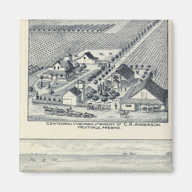 Deardorff and Centennial Vineyards, Kalifornien Magnet (Vorne)