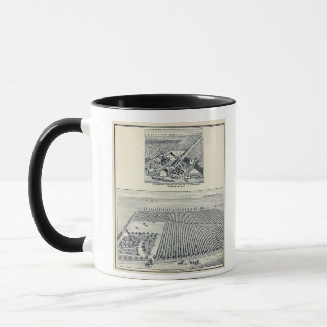 Deardorff and Centennial Vineyards, Kalifornien Tasse (Links)