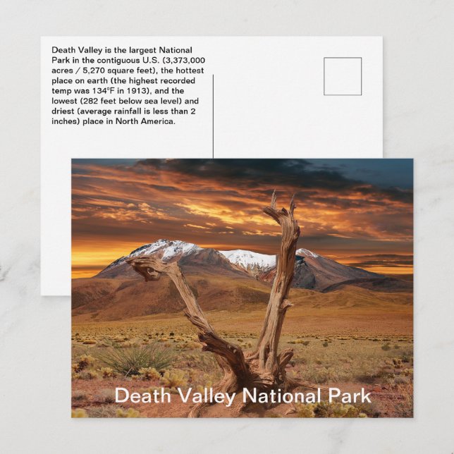 Death Valley National Park Fakten Postkarte (Vorne/Hinten)