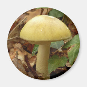 Deathcap Mushroom Magnet