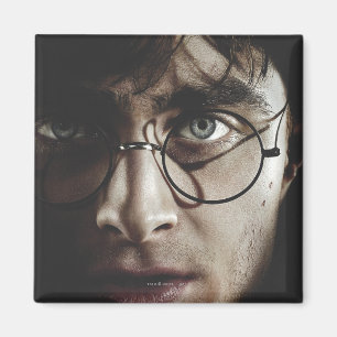 Deathly Hallows - Harry Potter Magnet