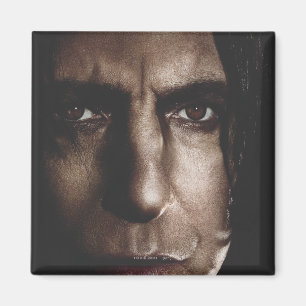 Deathly Hallows - Snape Magnet