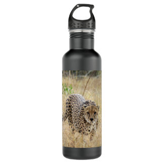D'eau Bouteille en acier inoxydable Cheetah