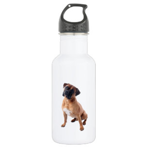 D'eau En Acier Inoxydable Bouteille de boissons de chien de boxeur