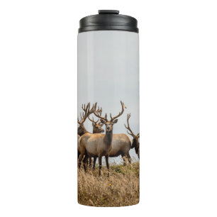 DEBERHERD THERMOSBECHER