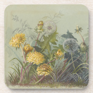 Deborah Griscom Passmore Watercolor Album Pl.60 Getränkeuntersetzer