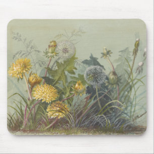 Deborah Griscom Passmore Watercolor Album Pl.60 Mousepad