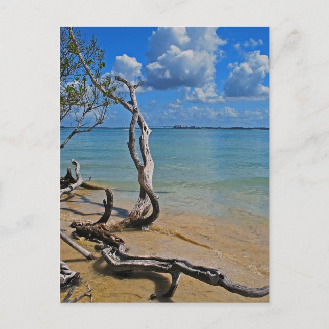 Debris to Blind Pass Postkarte (Vorderseite)