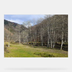 Début d'automne au bord de la rivière - Wild Natur
