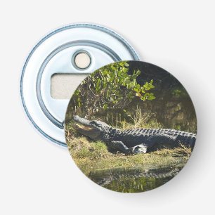 Décapsuleur Alligator américain se reposant le long d'une zone