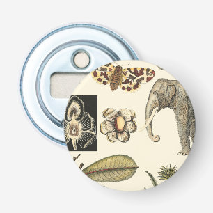 Décapsuleur Animaux agressés peints sur Arrière - plan de crèm