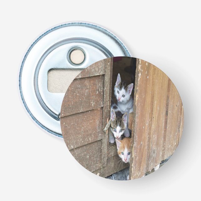 Décapsuleur Barnyard Kittens (Devant)