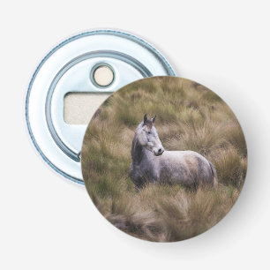 Décapsuleur Beau cheval de couleur grise