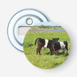 Décapsuleur Bébé Belted Vaches Galloway Dans Le Pays,