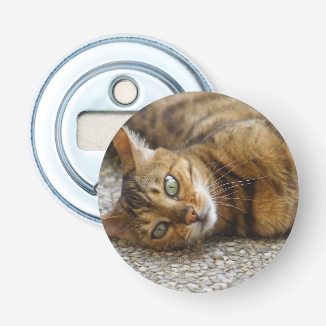 Décapsuleur Belle Chat Bengale (Devant)