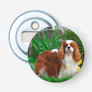 Décapsuleur Blenheim Cavalier King Charles Spaniel Chien Chien