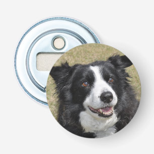 Décapsuleur Bordure Collie