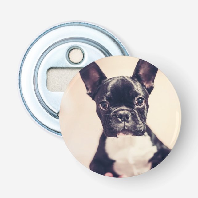 Décapsuleur Bouledogue français (Devant)