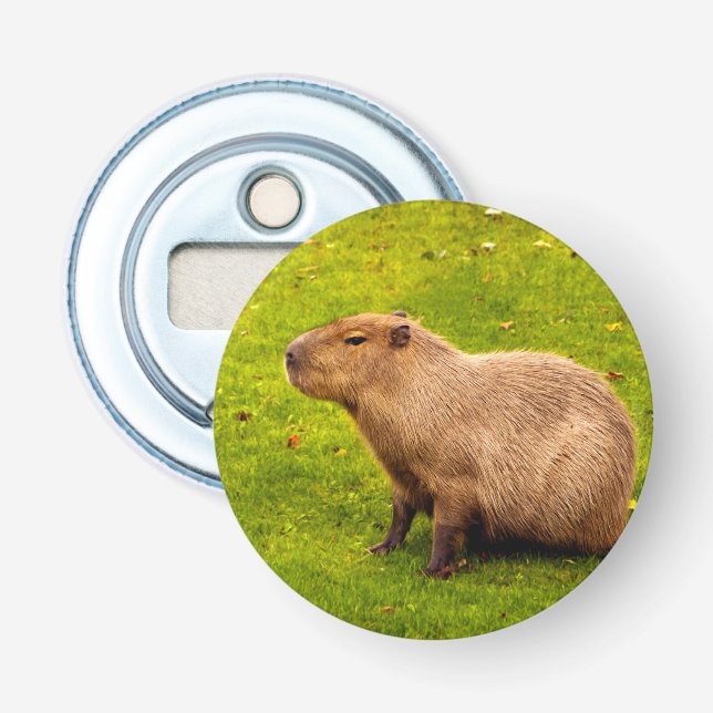 Décapsuleur Capybara (Devant)