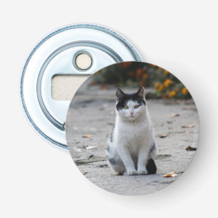 Décapsuleur Chat, Blanc, Animaux