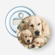 Chiots de la famille Golden Retriever Noël vintage