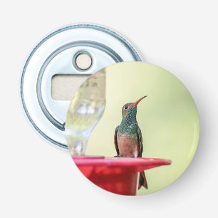 Décapsuleur Colibri à ventre cassé au Texas