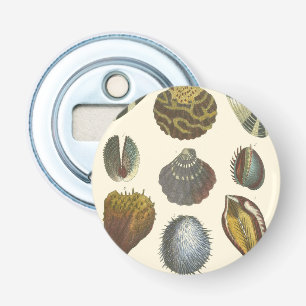 Décapsuleur Collection Conchology