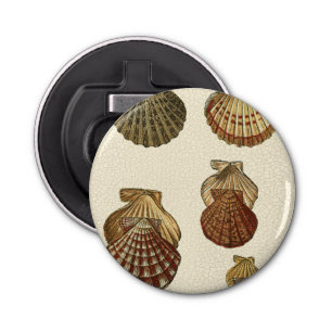 Décapsuleur Coquilles antiques craquelées