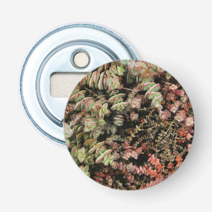 Décapsuleur Crassula perforata