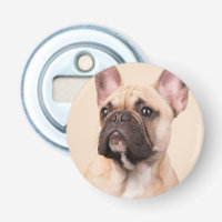 Créez Votre Propre Photo de Animal de Compagnie Pe