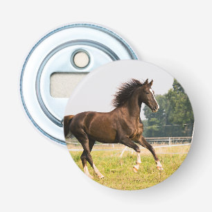 Décapsuleur Créez votre propre photo de cheval de compagnie pe