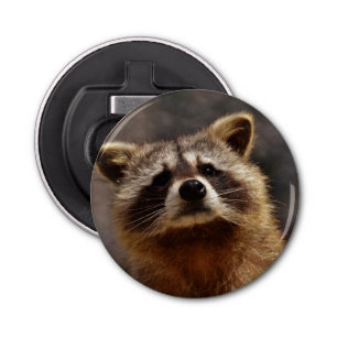 Décapsuleur Curieux Raccoon