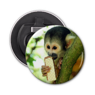 Décapsuleur Cute Baby Squerrl Monkey Eating a Wafer Biscuit