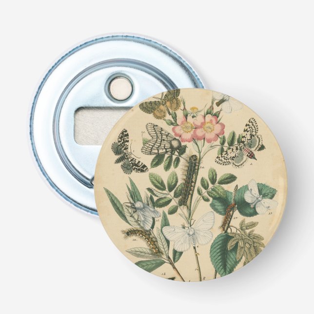 Décapsuleur Étapes de la vie des papillons par Vision Studio (Devant)