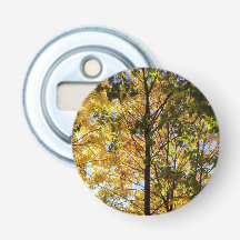 Feuillage de automne jaune et vert