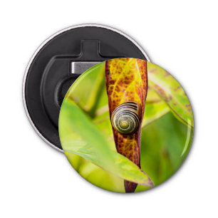 Décapsuleur fixation calme