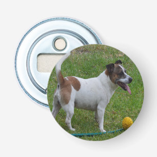 Décapsuleur Fox Terrier Avec Sa Boule Jaune, Ouverture De Bout
