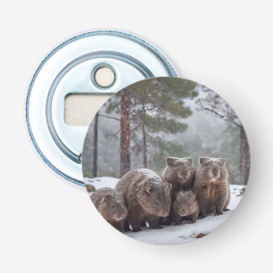 Décapsuleur Frozen Burrow : famille australienne Wombat