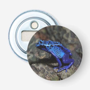 Décapsuleur Grenouille à tarte à poison bleu, grenouille bleue