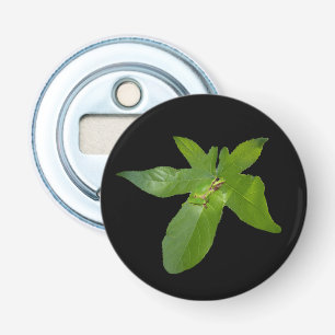 Décapsuleur "Havre de feuilles : une petite grenouille verte s