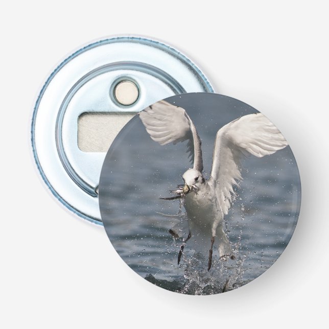 Décapsuleur Hovering Kittiwake (Devant)