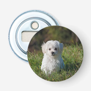 Décapsuleur Joli chiot blanc