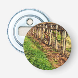 Décapsuleur Kangaroo Avec Joey Dans Les Vignes De Raisins, Ouv