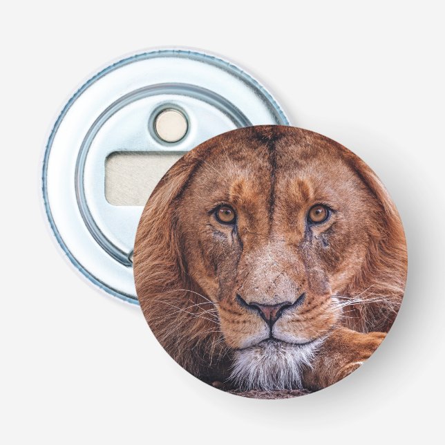 Décapsuleur Lion africain (Devant)