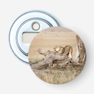 Décapsuleur Lioness stretching