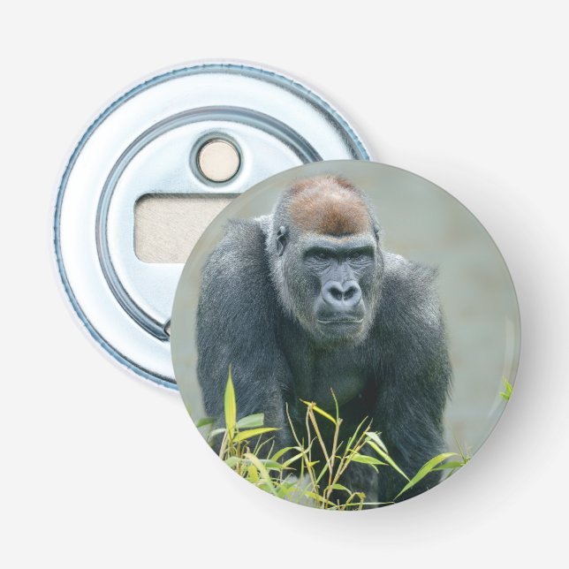 Décapsuleur Lope de Gorilla Blackback (Devant)
