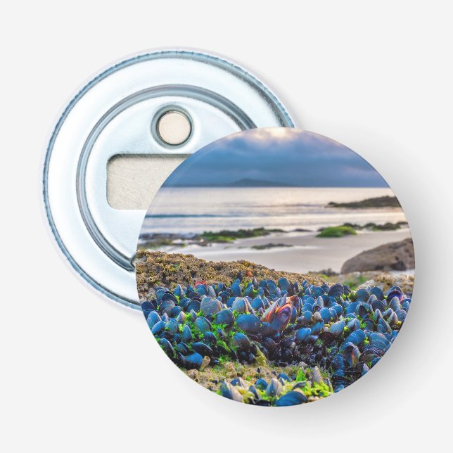Décapsuleur Moules (Devant)