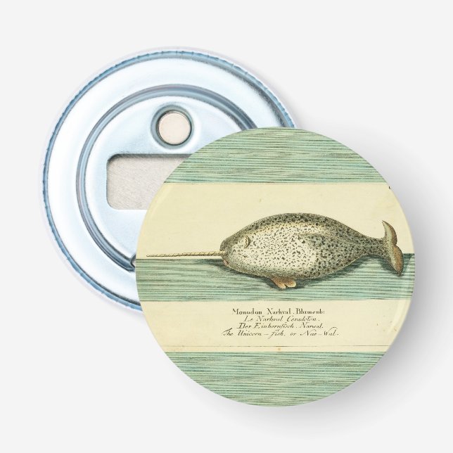 Décapsuleur Narwhal Antique Baleine Aquarelle Art scientifique (Devant)