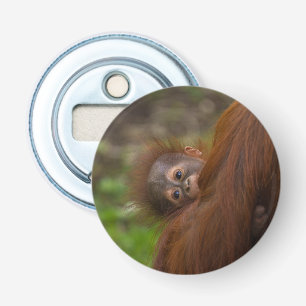 Décapsuleur Orangutan Baby Avoir Un Jeu